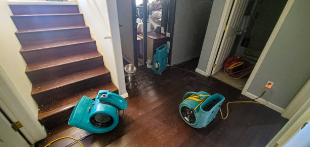 Best Mold removal after water damage  in Edgewood, IN