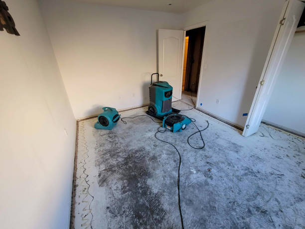 Best Water damage contractors near me  in Edgewood, IN