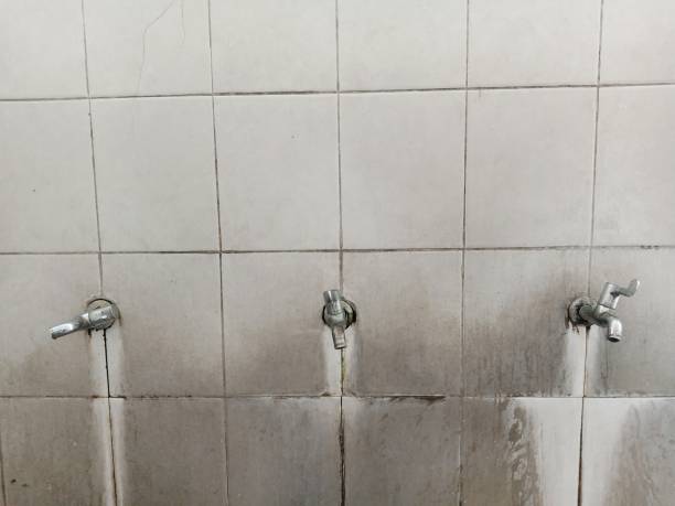 Best Professional water damage repair  in Edgewood, IN