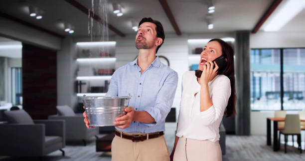 Best Water damage cleanup near me  in Edgewood, IN