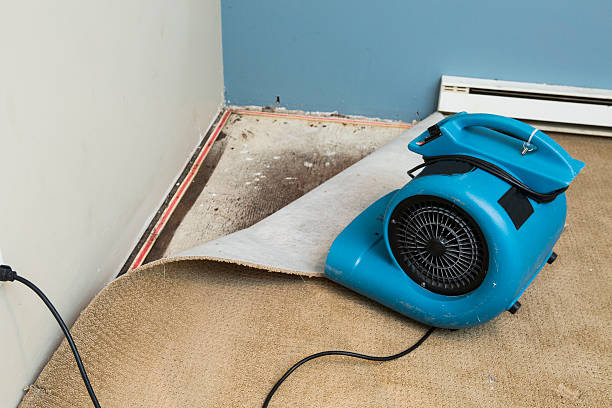 Best Water damage restoration near me  in Edgewood, IN